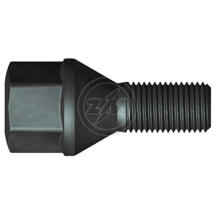 Kit 50 Parafuso de Roda M12-1.25 x 22/48,5 x CH19 - (1)