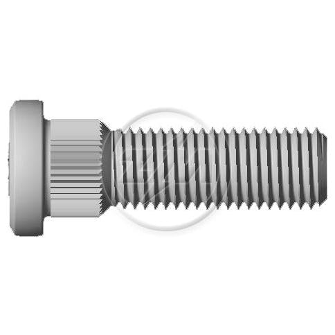 Kit 50 Parafuso de Roda M12-1,5 x 41/46 - ZM - 30.012.91 - (1)