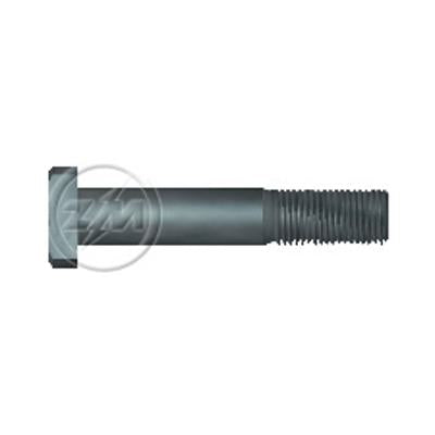 Kit 30 Parafuso de Roda M14-1,5 x 77/84 - ZM - 30.014.12 - (1)