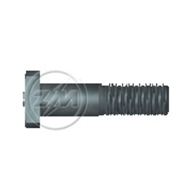 Kit 30 Parafuso de Roda M14-1,5 x 77/84 - ZM - 30.014.12 - (2)