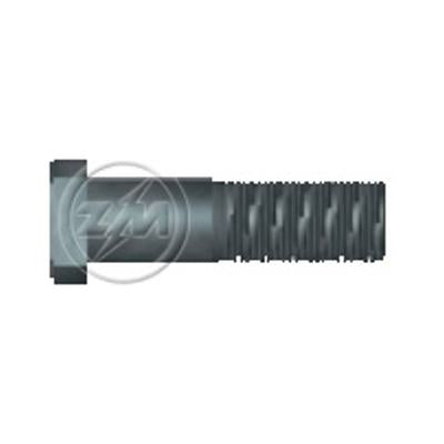 Kit 25 Parafuso de Roda M18-1,5 x 65/73 - ZM - 30.018.02 - (1)