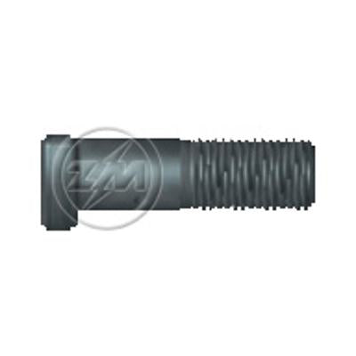 Kit 25 Parafuso de Roda M18-2,0 x 60/69 - ZM - 30.018.21 - (1)