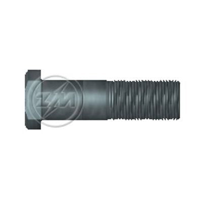 Kit 25 Parafuso de Roda M20-1,5 x 69/77 - ZM - 30.020.01 - (1)