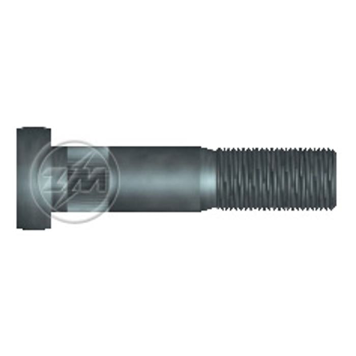 Kit 50 Parafuso de Roda M20-1.5 x 90/101 - ZM - 30.020.23 - (1)