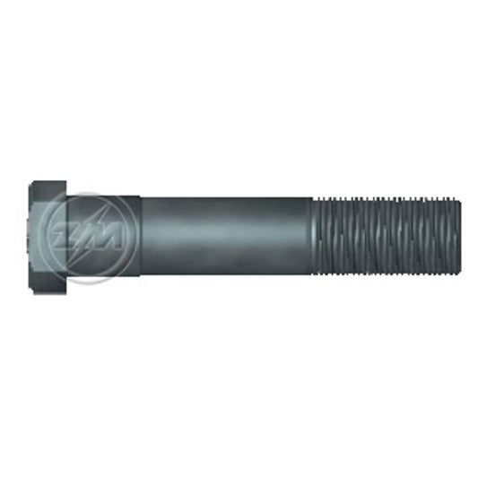 Kit 40 Parafuso de Roda M22-1,5 x 110/120,5 - ZM - 30.022.08 - (1)