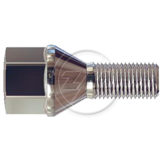 Kit 50 Parafuso de Roda M12-1,25 x 23/49,5 x CH19 - (1)