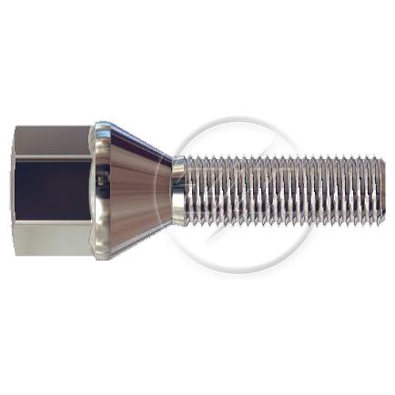 Kit 50 Parafuso de Roda M12-1,25 x 35/61,5 x CH19 - (1)