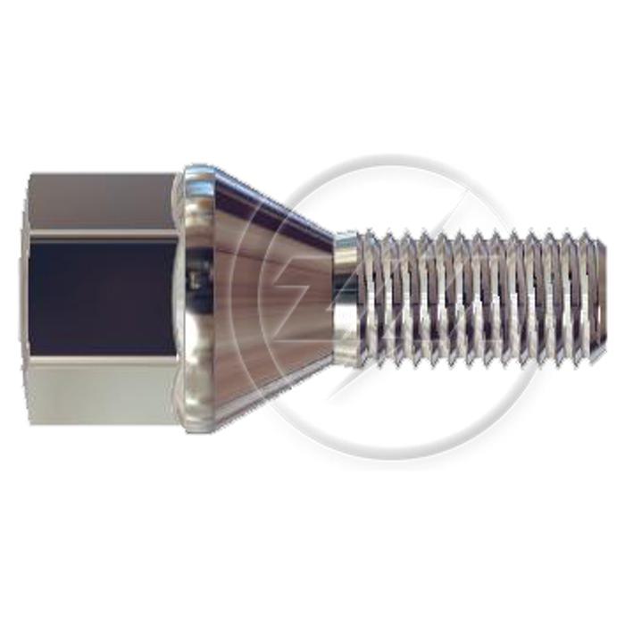 Kit 50 Parafuso de Roda M12-1,5 x 23/49,5 x CH19 - (1)
