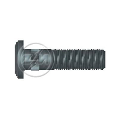 Kit 30 Parafuso de Roda 5/8"-18UNF x 61/68 - ZM - 30.508.01 - (1)