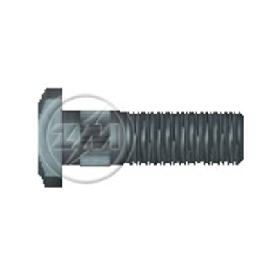 Kit 30 Parafuso de Roda 5/8"-18UNF x 53/60 - ZM - 30.508.03 - (1)