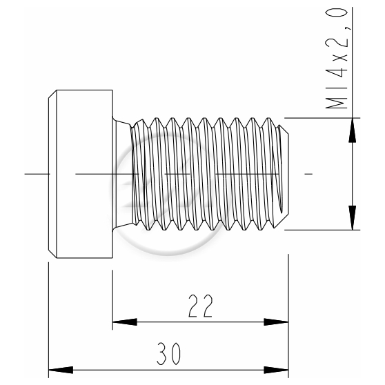Kit 100 Parafuso da Quinta Roda M14-2,0 X 22 X CH10 - (2)