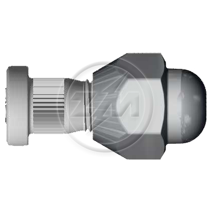 Kit 50 Parafuso Roda M12-1,25x32/37xCH21xH25,5 - ZM - (1)