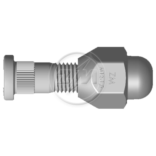 Kit 50 Parafuso Roda M12-1,5x45/49xCH21xH29 - ZM - 40.012.54 - (1)
