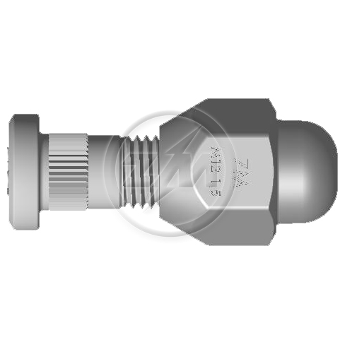 Kit 50 Parafuso Roda M12-1,5x40/45xCH21xH29 - ZM - 40.012.84 - (1)