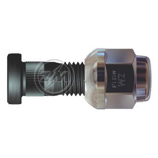 Kit 50 Parafuso Roda M12-1,5x38/43xCH19xH24 - ZM - 40.212.15 - (1)