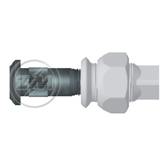 Kit 24 Parafuso Roda 3/4"x70/77,9xH22 Esquerdo - ZM - (1)