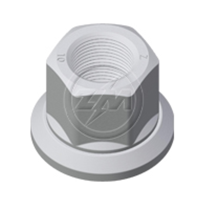 Kit 30 Porca da Roda M22-1,5 x CH32 x H33 - ZM - 529.022.04 - (1)