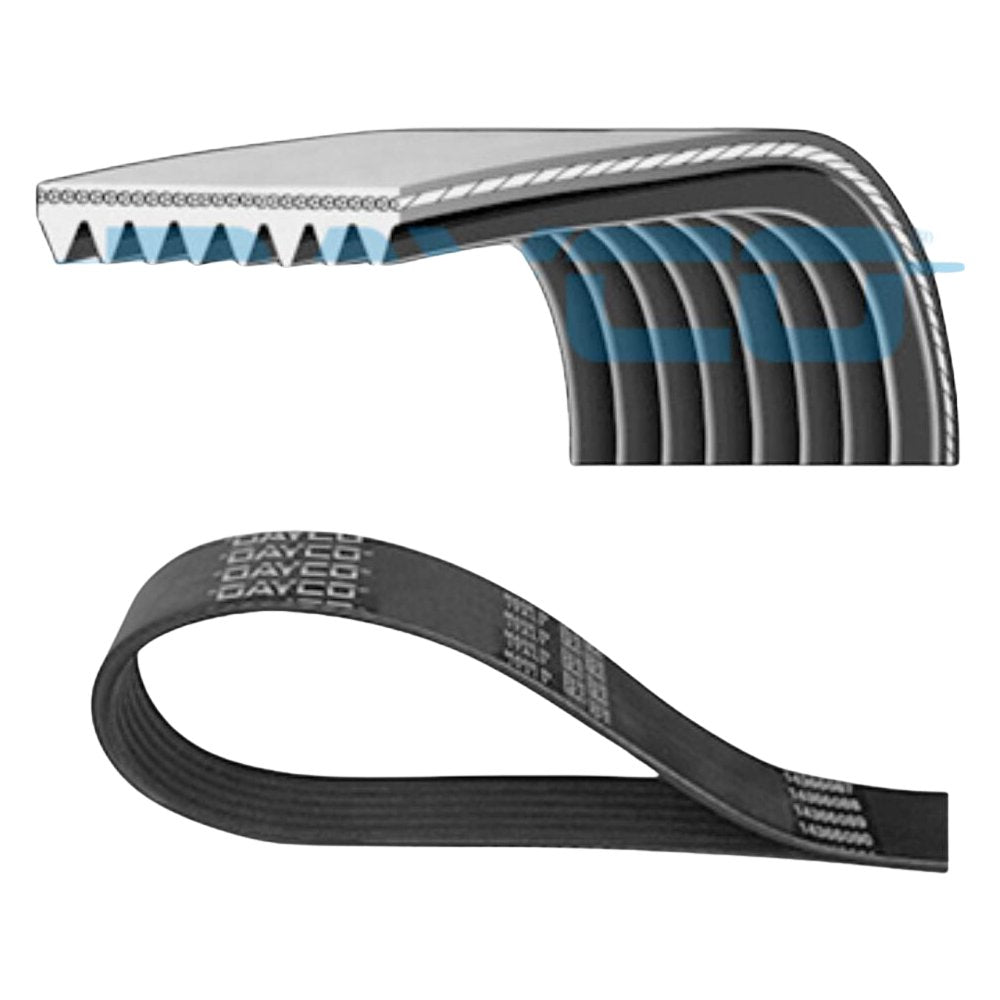 Correia de Acessórios Poly-V - DAYCO - 8PK2205 - (1)