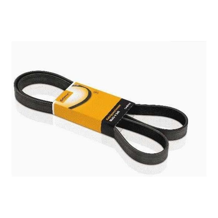 Correia ACD Modelo Micro V - Continental Contitech - 4PK800 - (1)