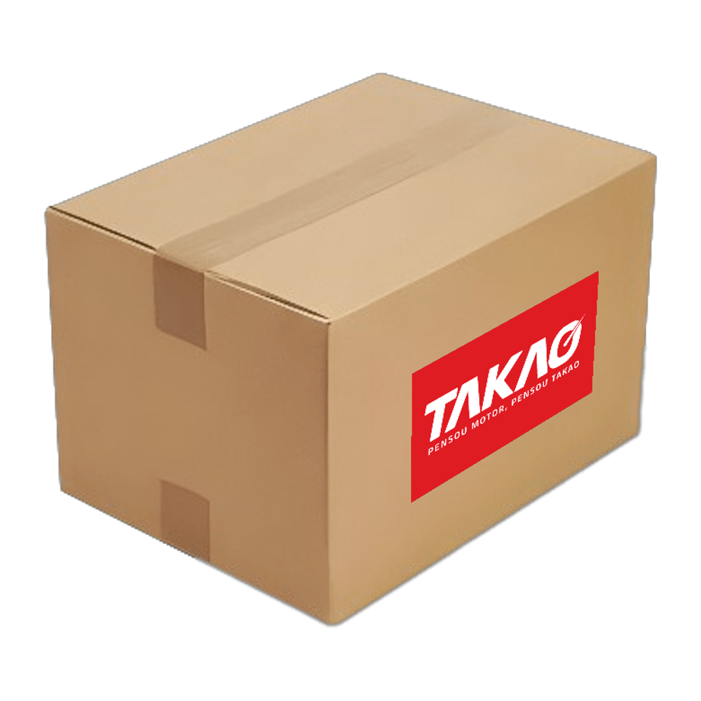Bomba D'água - TAKAO - BD FI 10A - (1)