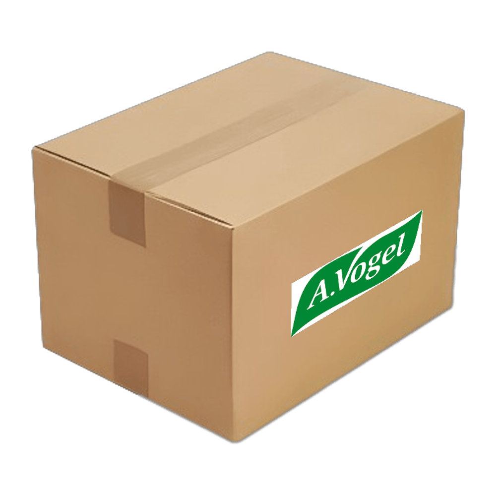 Kit de Reparo do Carburador - Vogel - 22052 - (1)