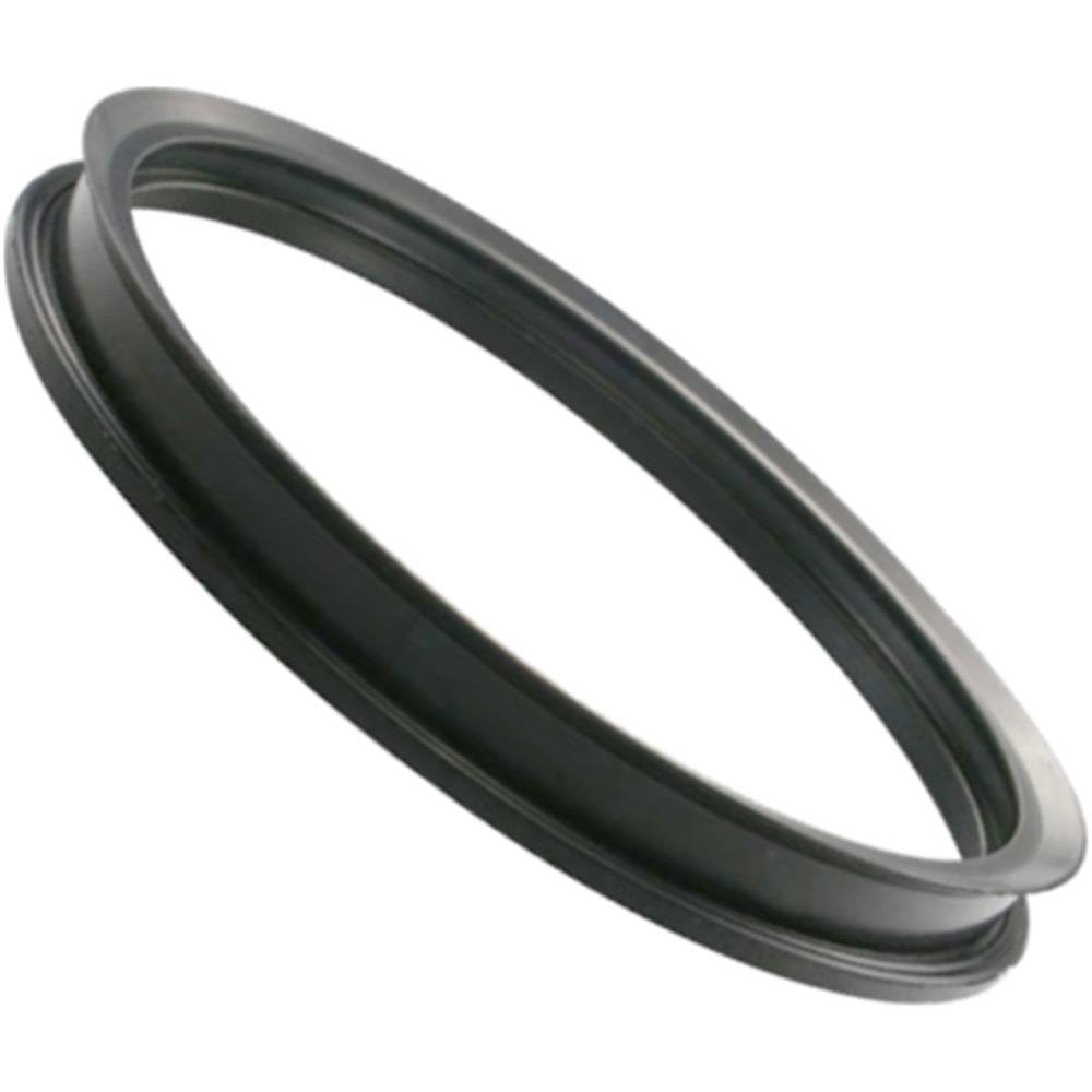 Guarnição da Flange do Módulo de Combustível - DS - 1456 - (1)