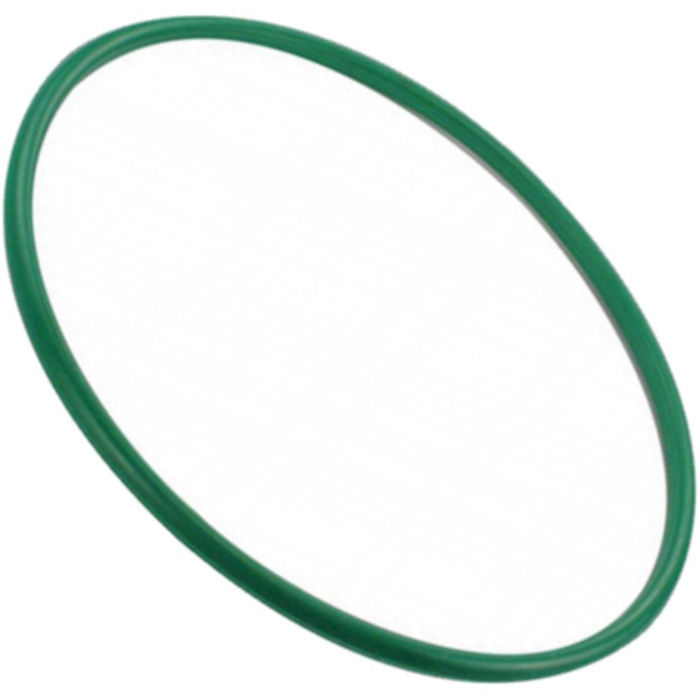 Guarnição da Flange do Módulo de Combustível - DS - 1462 - (1)