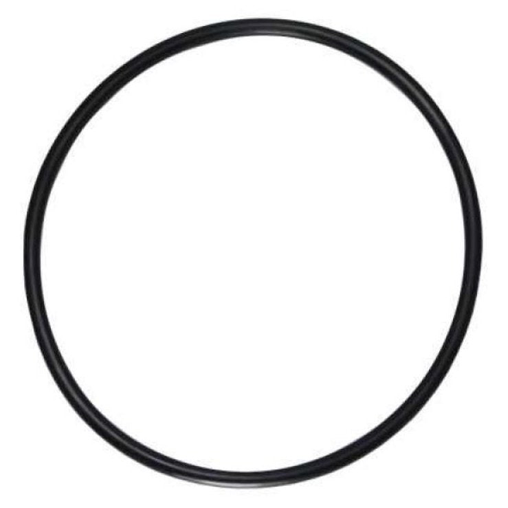 Guarnição Flange Módulo Combustível Borracha - DS - 1467 - (1)