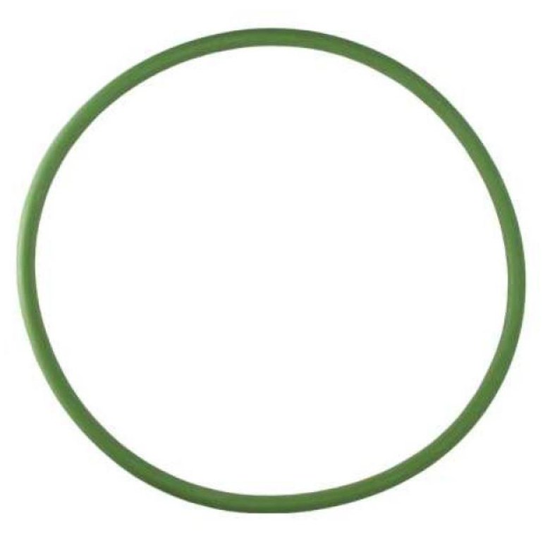 Guarnição da Flange do Módulo de Combustível Traseiro Verde - DS - 1468 - (1)