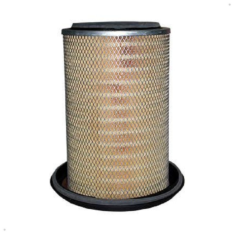 Elemento Filtrante de Ar do Motor - Delphi - EFA893 - (1)