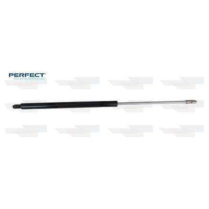 Par Amortecedor Porta Malas - Perfect - APM41161 - (2)