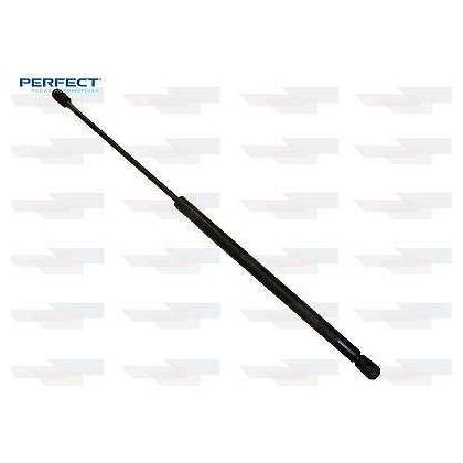 Par Amortecedor Porta Malas - Perfect - APM51261 - (2)