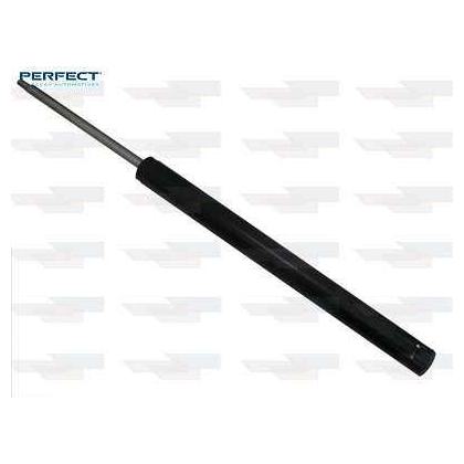Amortecedor Suspensão - Perfect - AMD09123 - (1)