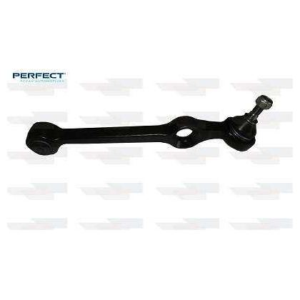 Braço Oscilante - Perfect - BRA3029 - (1)