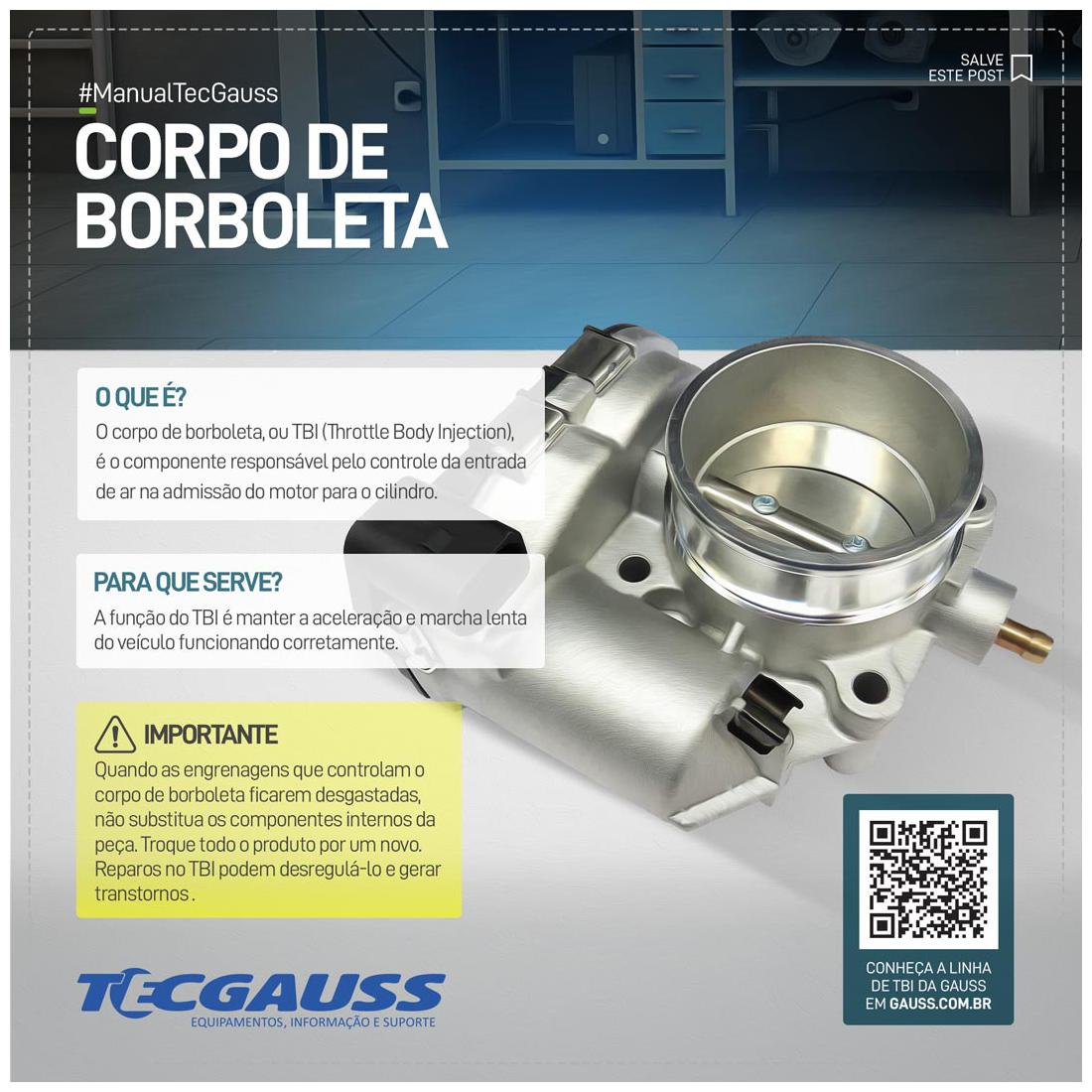 Corpo de Borboleta - Gauss - GI7873 - (2)