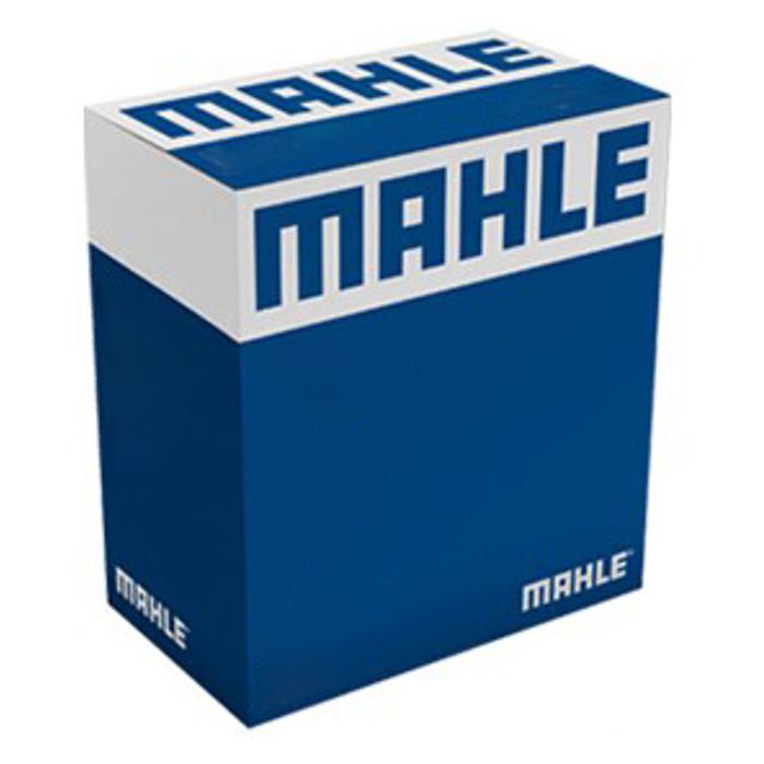 Elemento do Filtro de Óleo - Mahle - OX137D - (1)