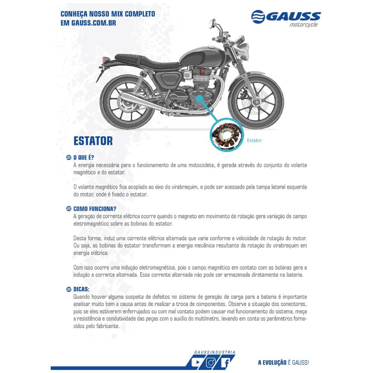 Estator - Gauss - GM16008 - (3)