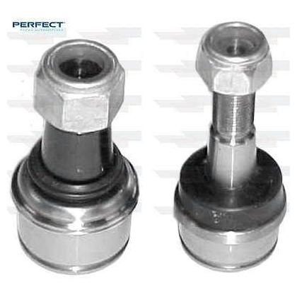 Jg Pivo - Perfect - KPV3049 - (1)