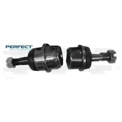 Jg Pivo - Perfect - KPV8302 - (1)