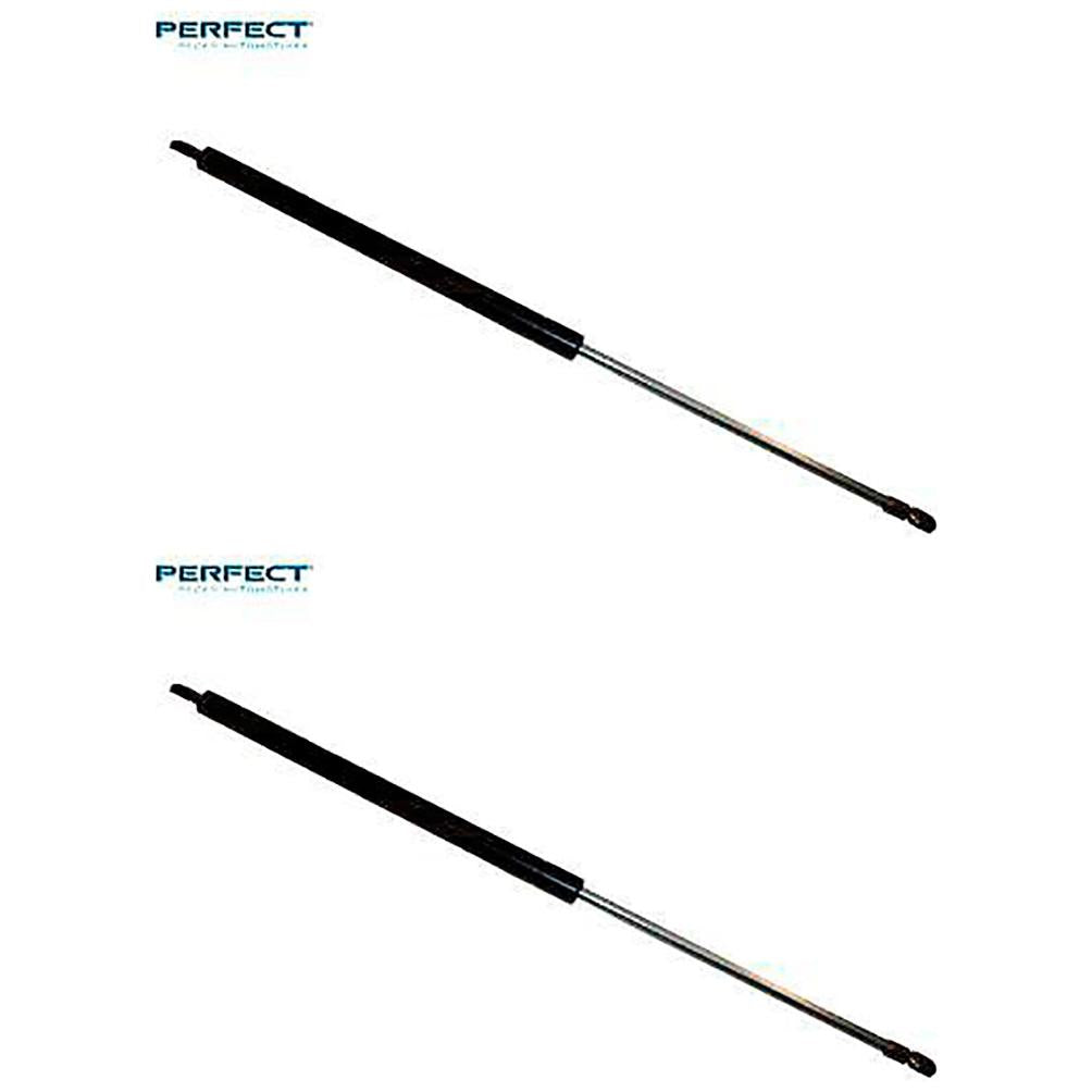 Par Amortecedor Porta Malas - Perfect - APM10091 - (1)