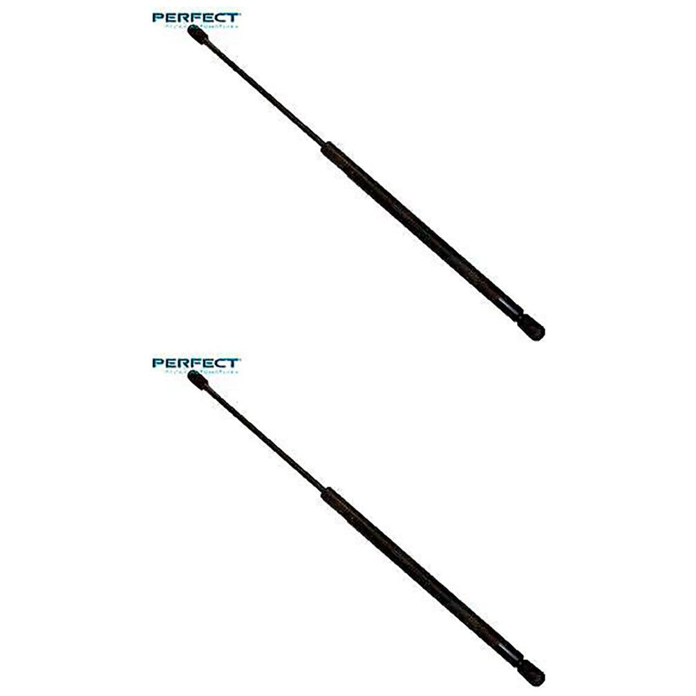 Par Amortecedor Porta Malas - Perfect - APM51261 - (1)