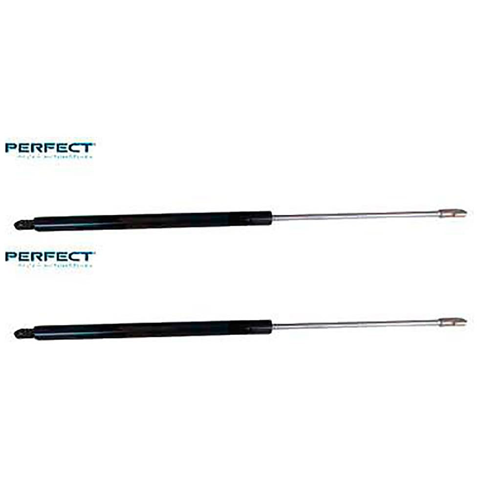 Par Amortecedor Porta Malas - Perfect - APM41161 - (1)