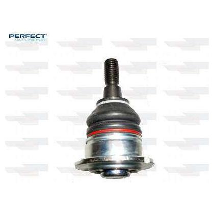 Pivo - Perfect - PVS0203 - (1)