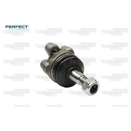 Pivo - Perfect - PVS1002 - (1)
