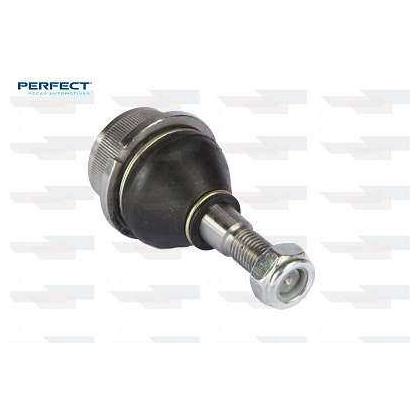 Pivo - Perfect - PVS1013 - (1)