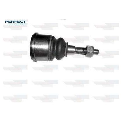 Pivo - Perfect - PVS2403 - (1)