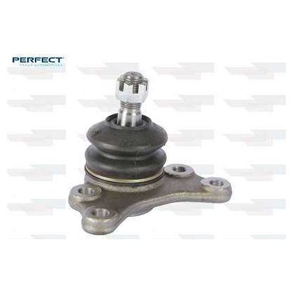 Pivo - Perfect - PVS40099 - (1)