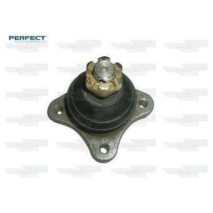Pivo - Perfect - PVS7766 - (1)