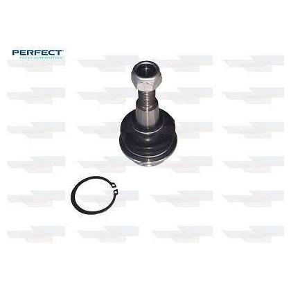 Pivo Suspensão - Perfect - PVI0212 - (1)