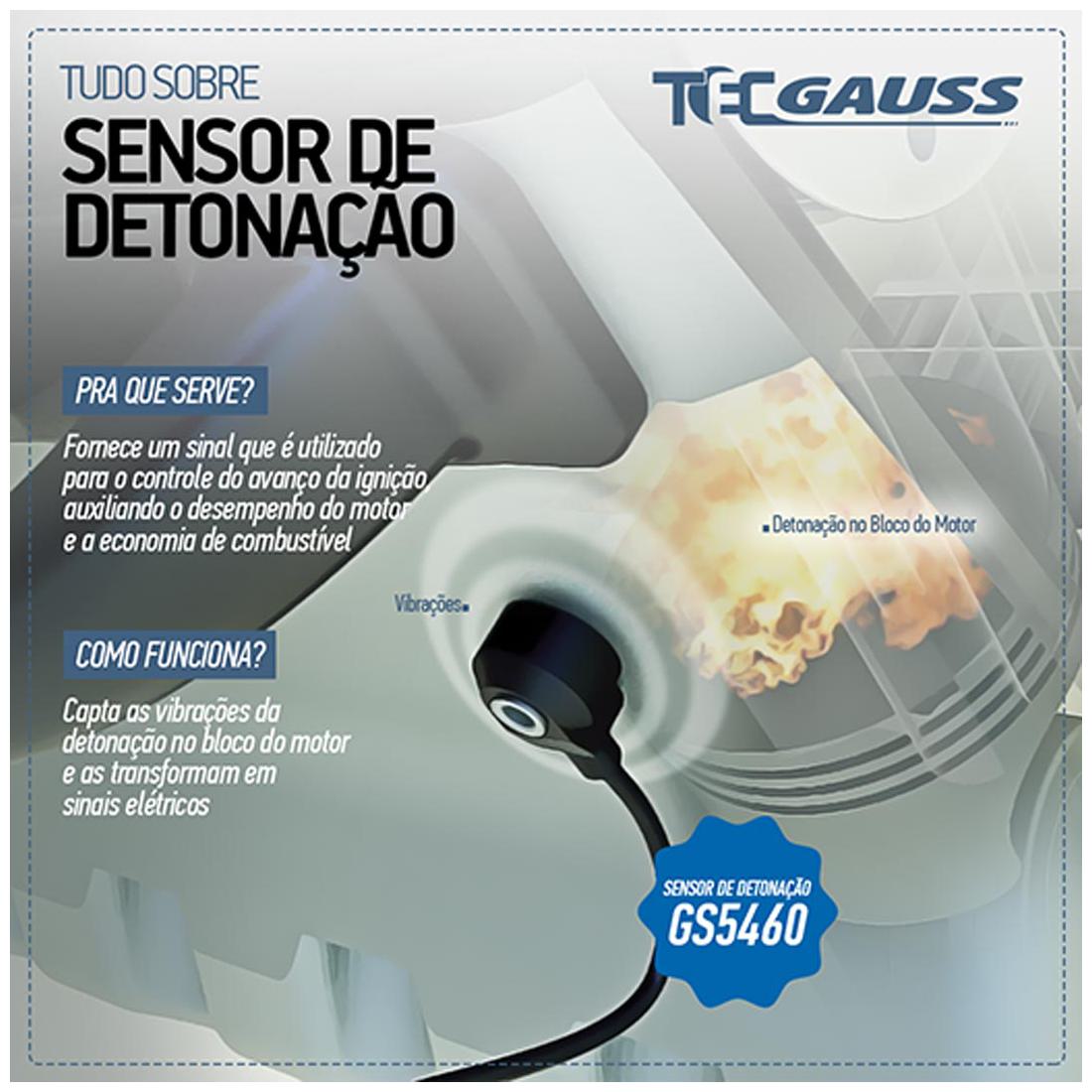 Sensor Detonação - Gauss - GS5327 - (2)